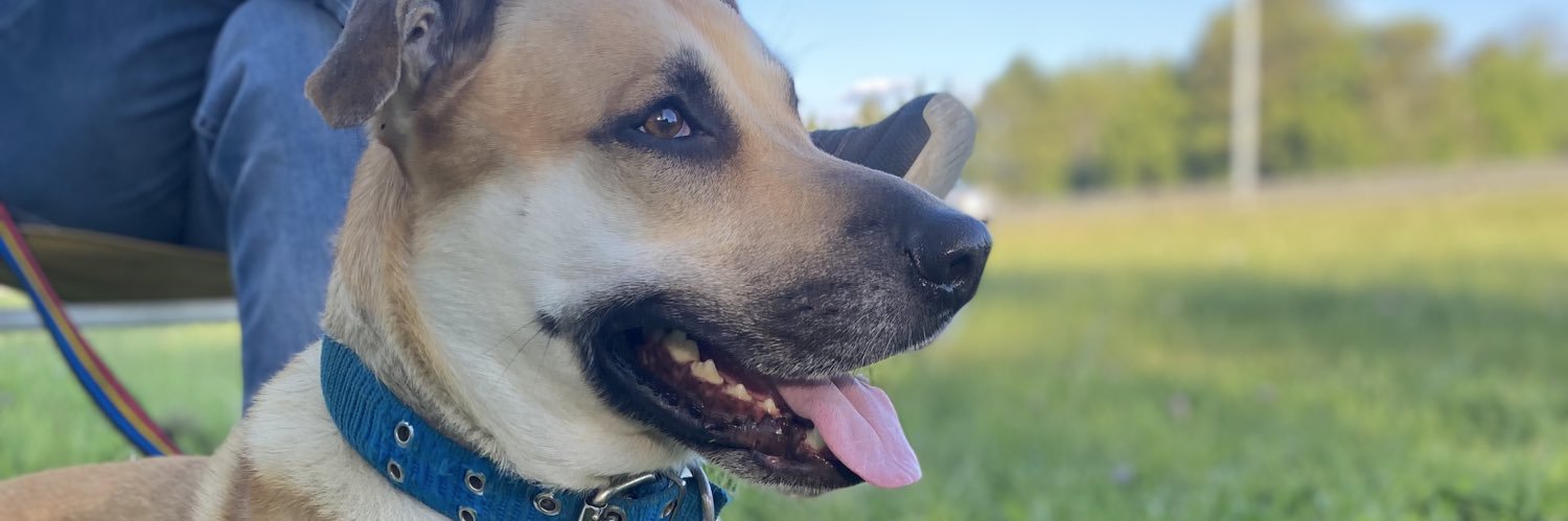 juliPombo19's profile banner image