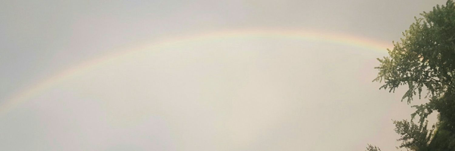 ravvygabby's profile banner image