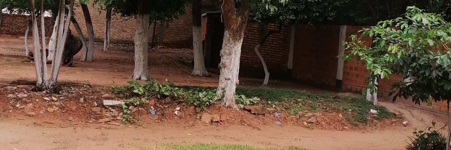 Julia Miranda banner