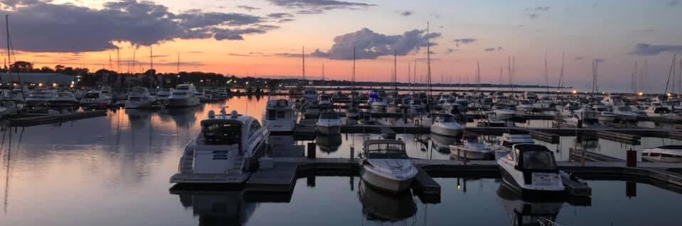 Daniel Lavender banner