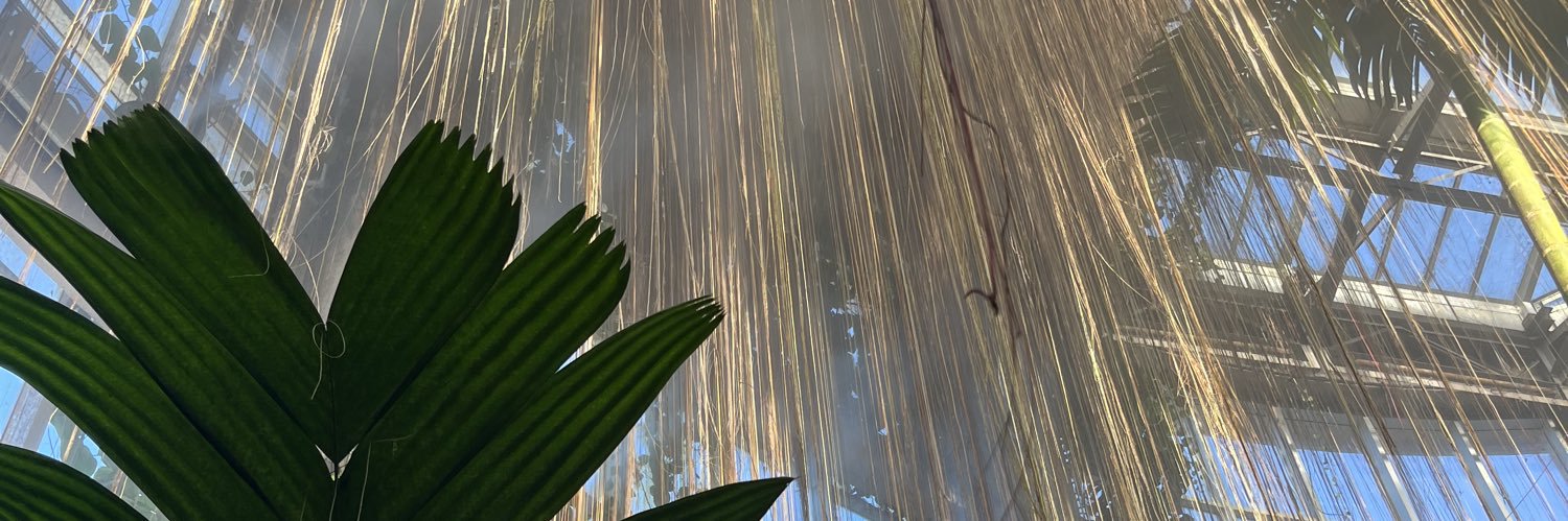 dvcavc's profile banner image
