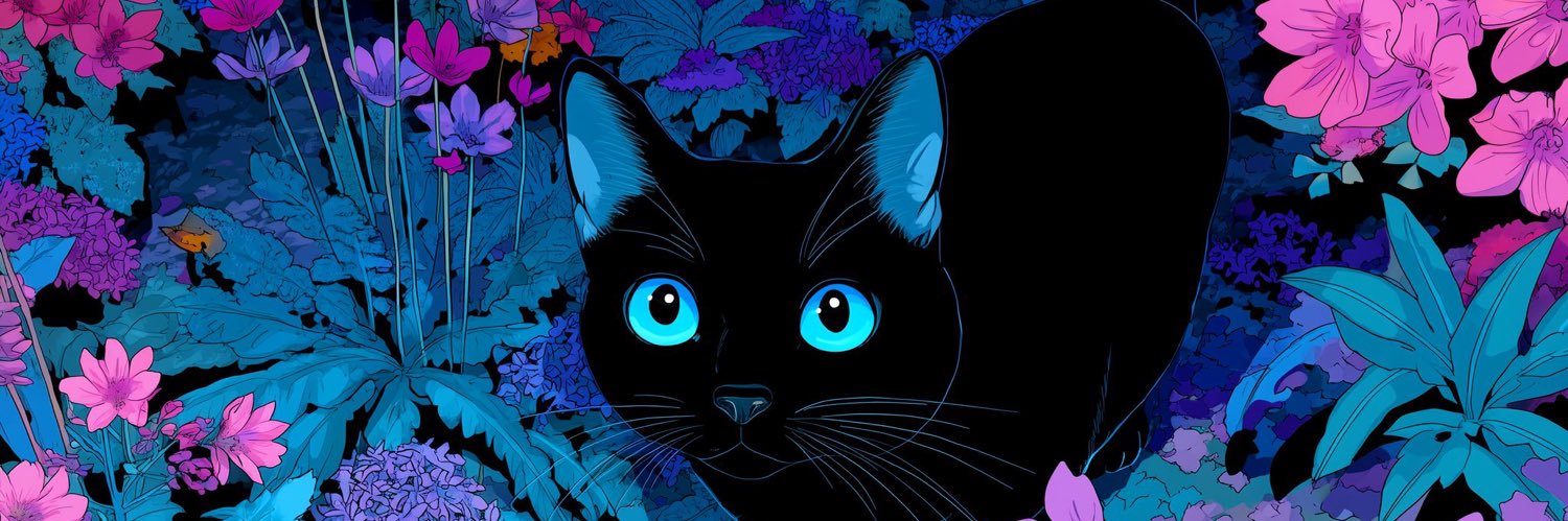 casser0ole's profile banner image