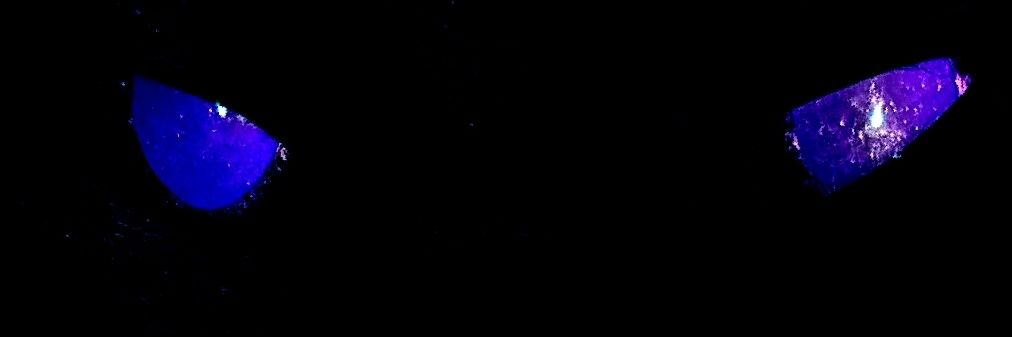 robertalanbenn1's profile banner image
