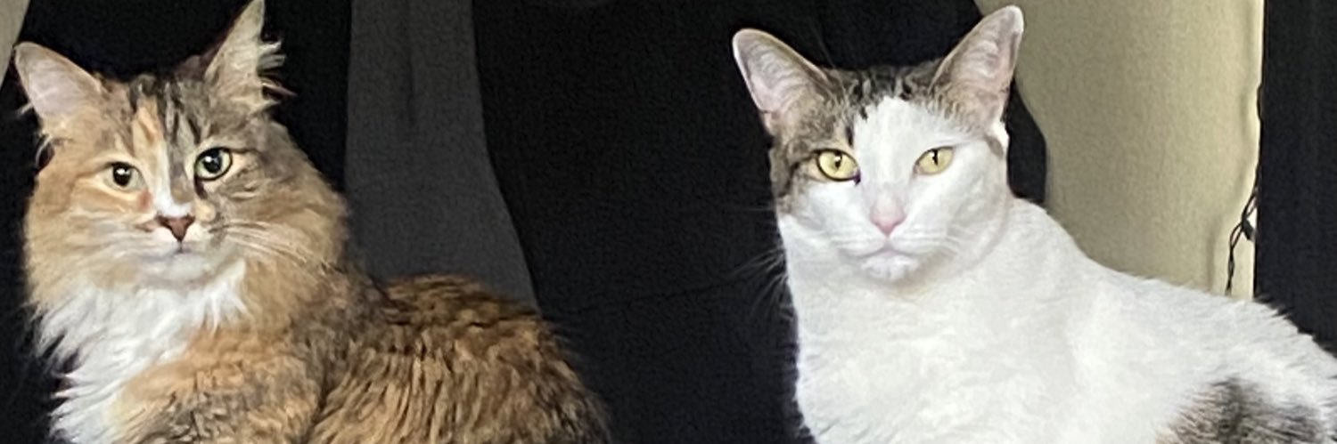 Mrs_Chadwick76's profile banner image