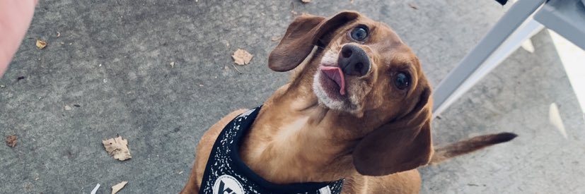 Taay_77's profile banner image