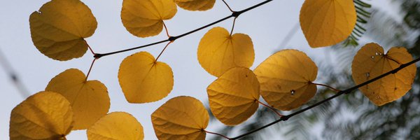 bortwkr Profile Banner