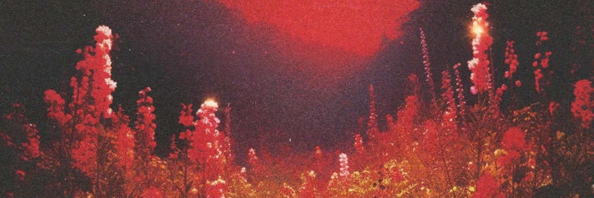 Sneaky.BC_VP 📸🎮 banner