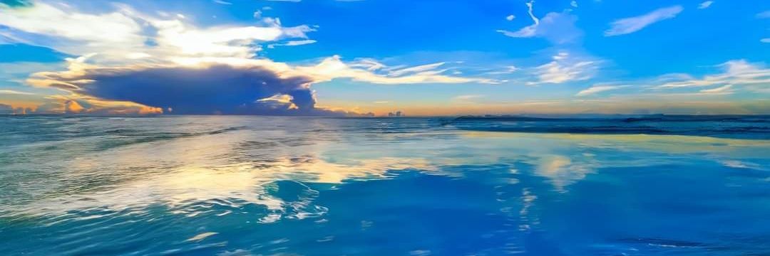 Marilyn Starkloff banner