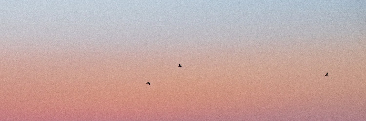 _marinagraham's profile banner image