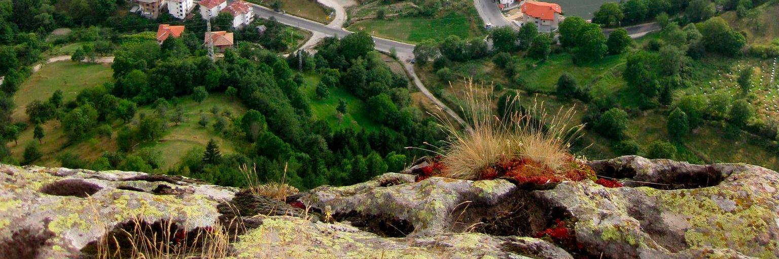 Elena Zheleva banner