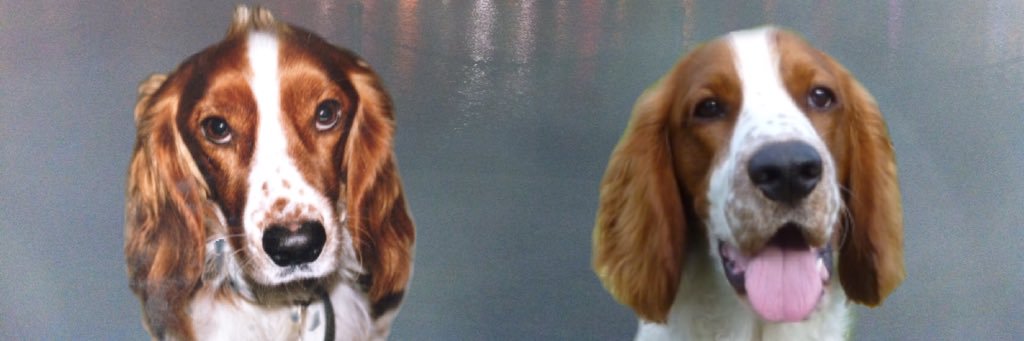 mollydee844's profile banner image