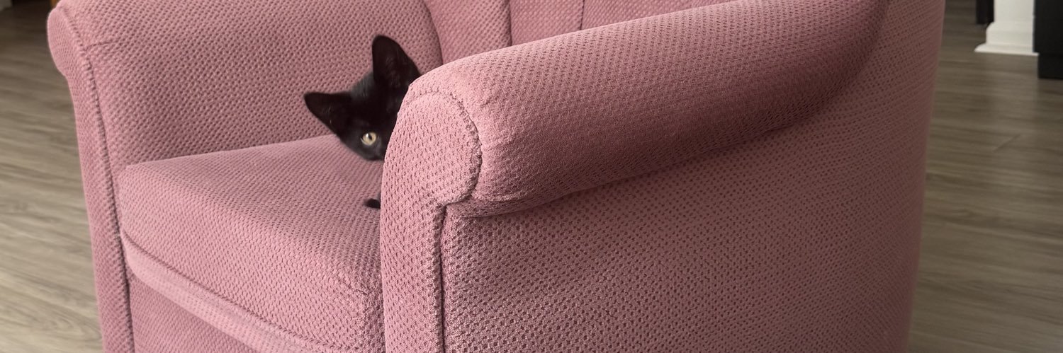 jennnewman_'s profile banner image