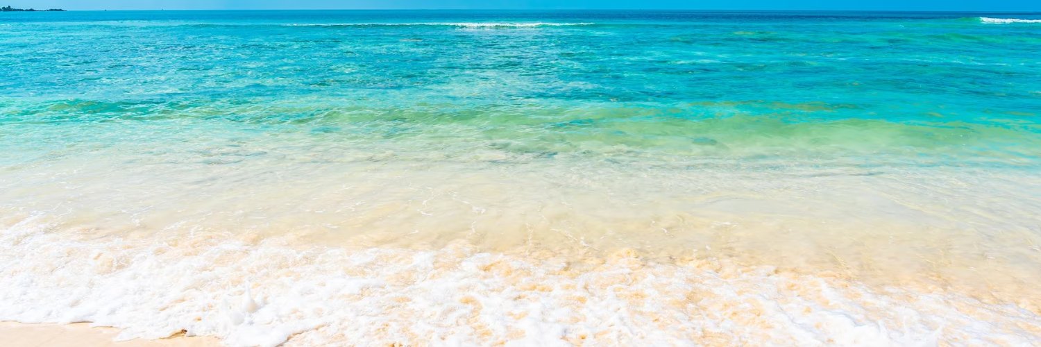 (💙,🧡)seamonk🛸 banner