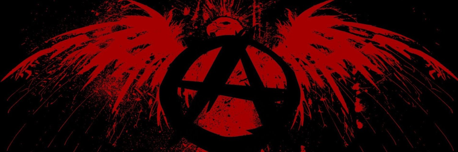 AnarchyMaxx's profile banner image