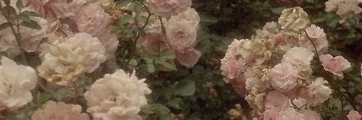 ___iim2's profile banner image
