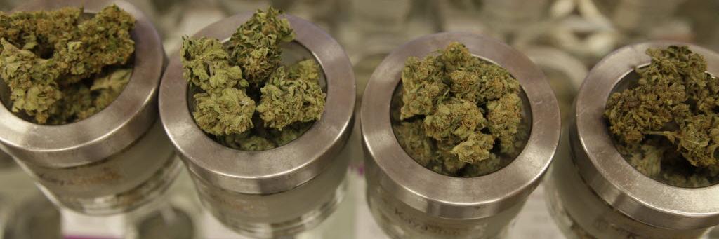 ExtractCannabis's profile banner image