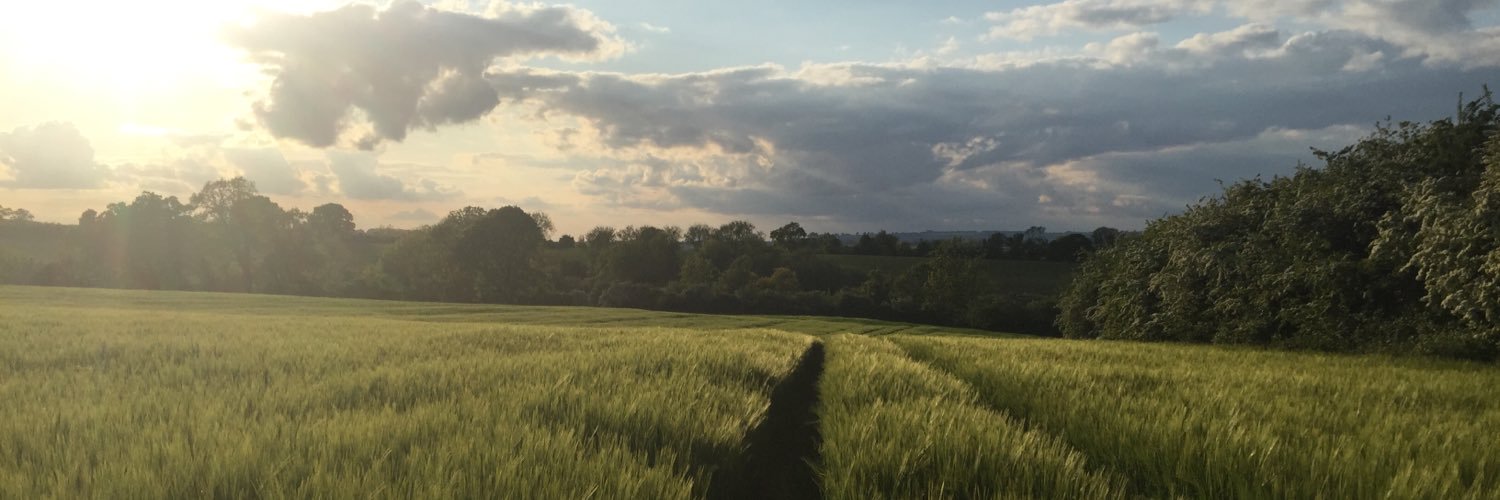 MikeLord2014's profile banner image