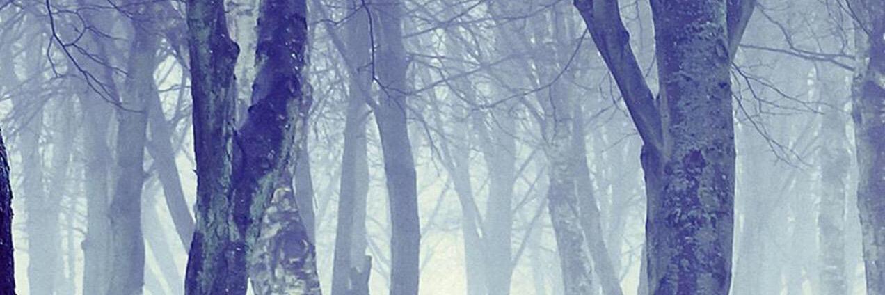 amycj1987's profile banner image