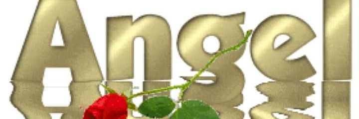 Angel22Marques's profile banner image