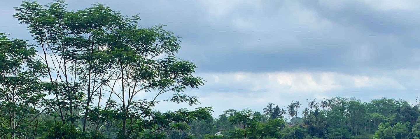 mariaem__'s profile banner image