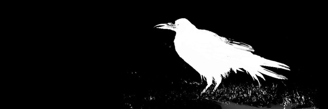 BrokenEmily_X's profile banner image