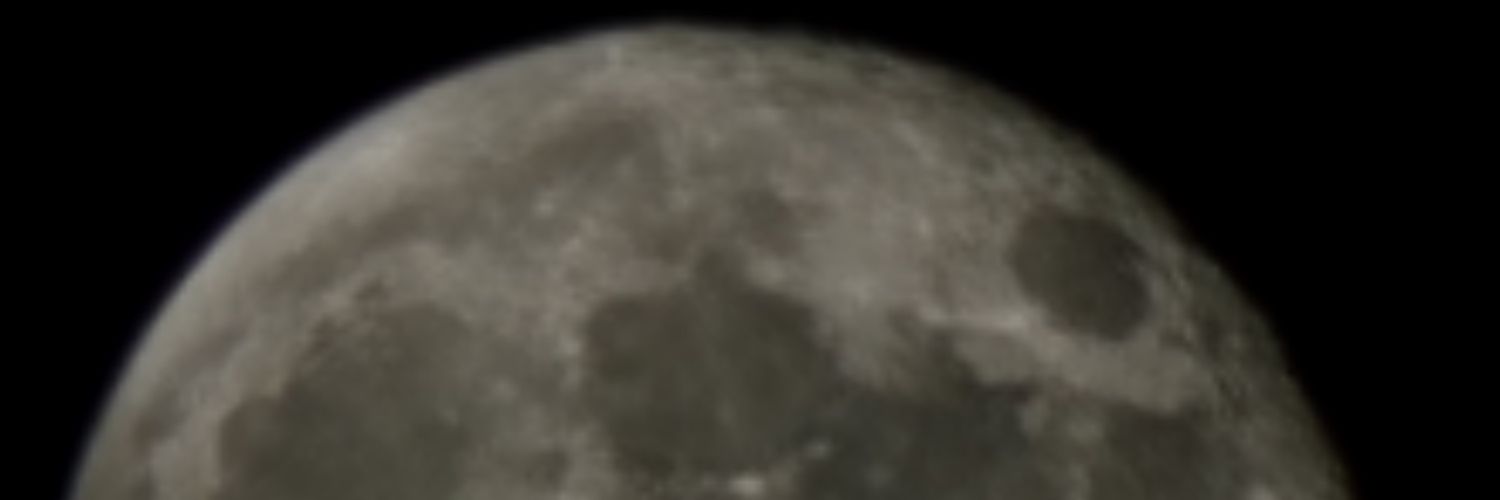 p1bizz's profile banner image