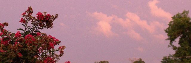 nataliee_fr's profile banner image