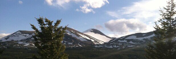 Meathead Media banner