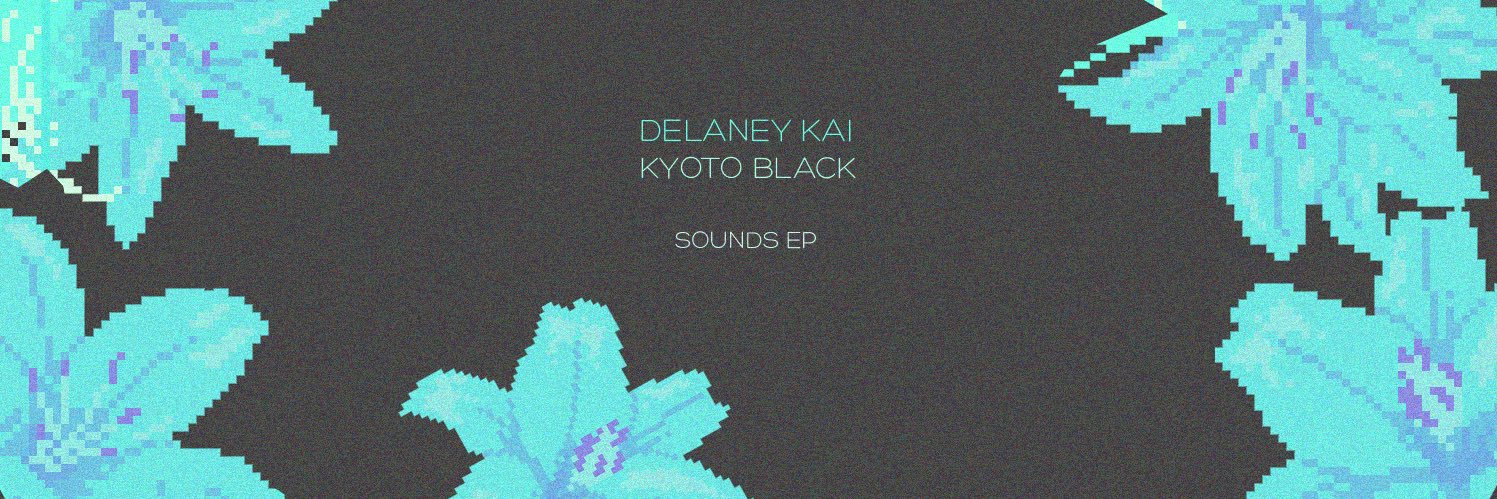 Delaney Kai banner