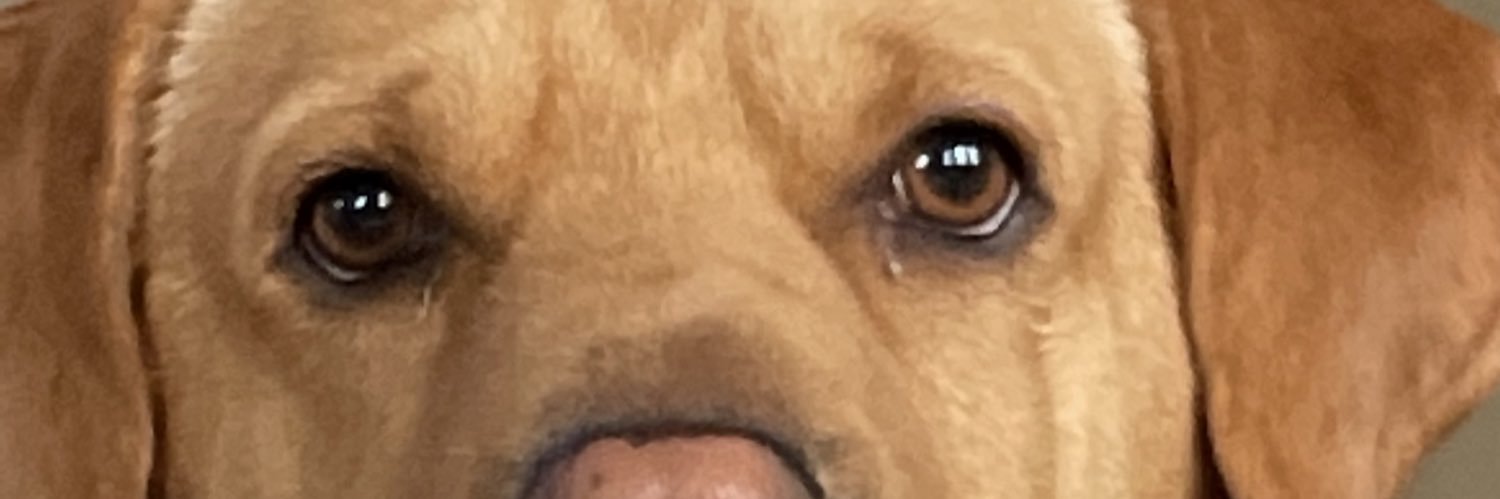 Miller0895's profile banner image