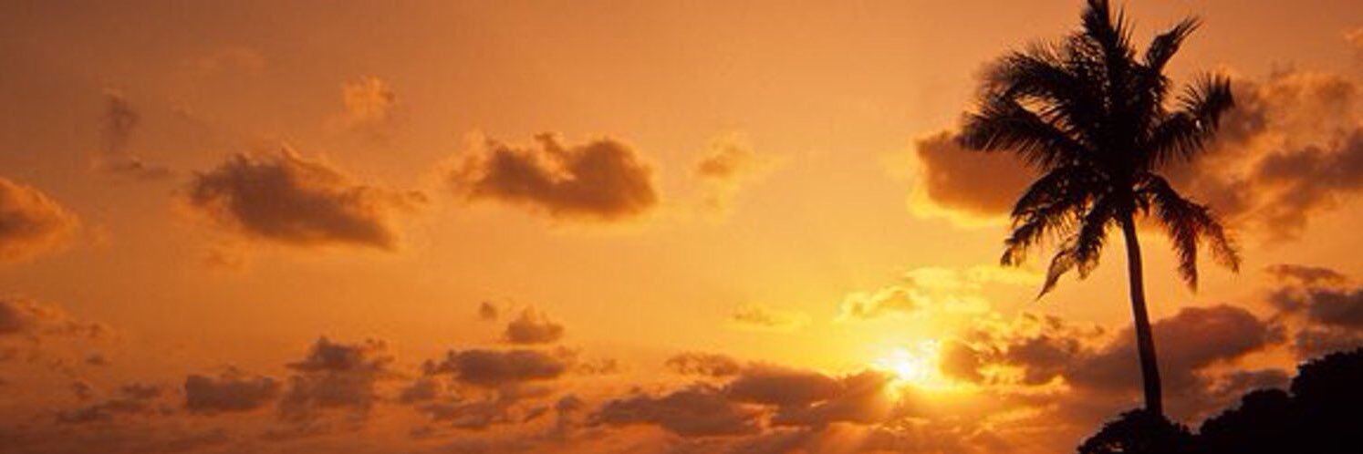 AshleyLoeza's profile banner image