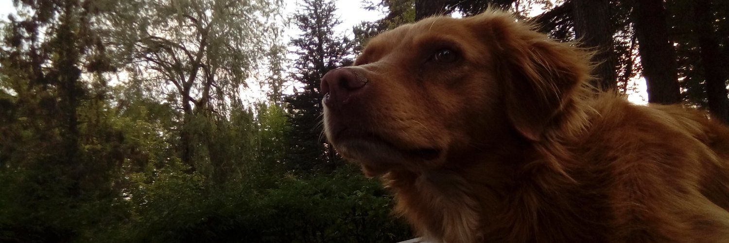 hicosfer's profile banner image