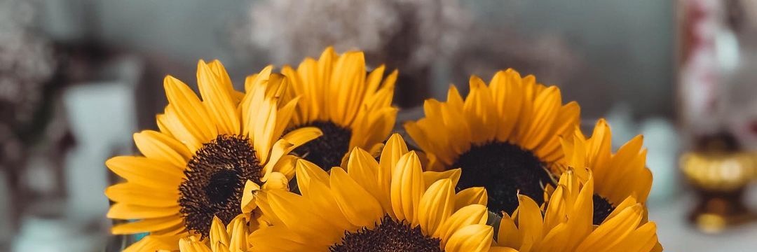 estrellamarillx's profile banner image