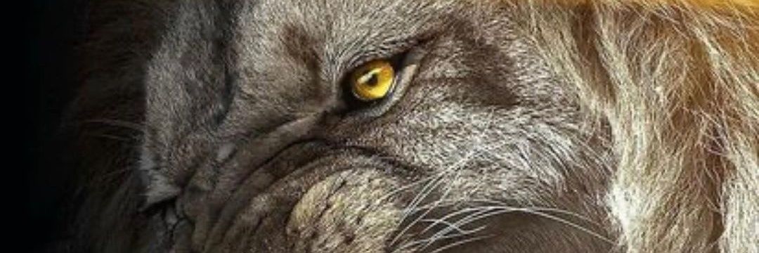beckabebe26's profile banner image
