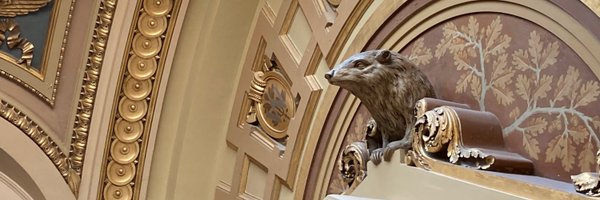 PaddyMacMke Profile Banner