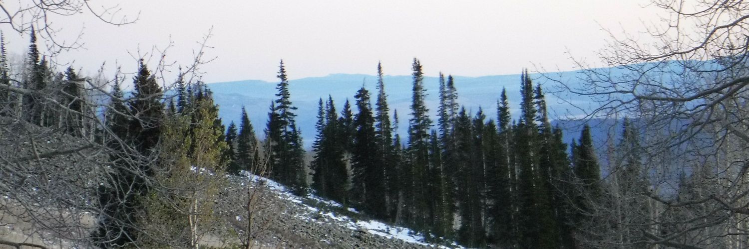 Martywinmag's profile banner image