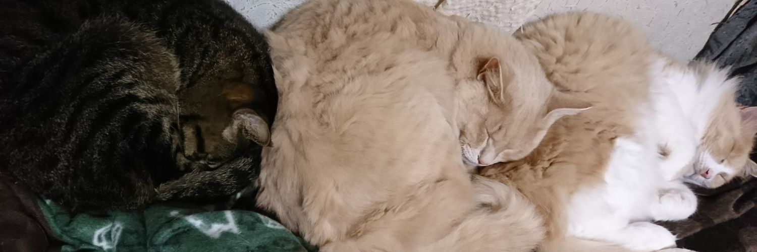 こ★め🎖💐 banner