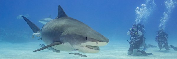 tradney Profile Banner