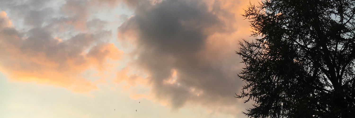 sofiatapcuesta's profile banner image