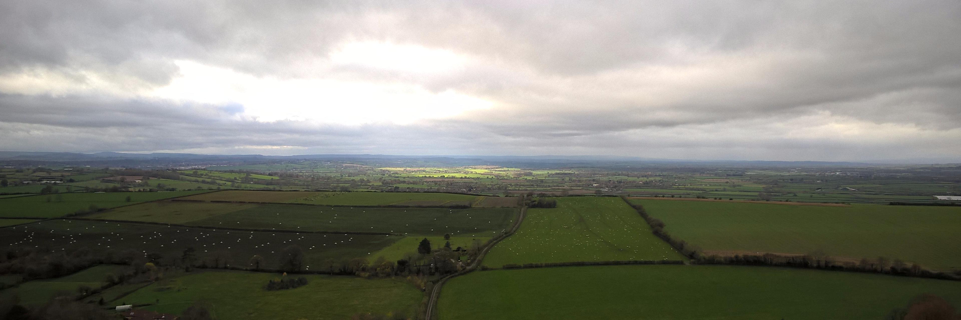 Lawrence Gripper banner