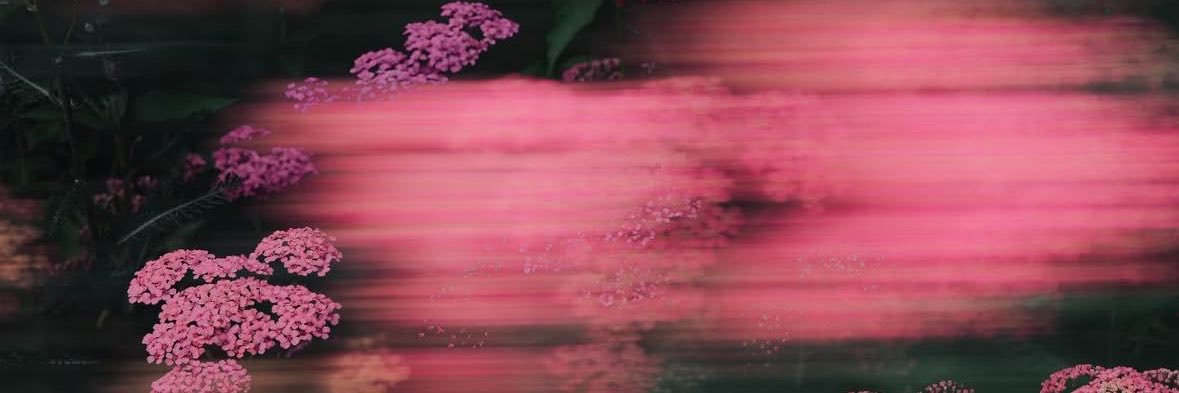 esinedennek's profile banner image
