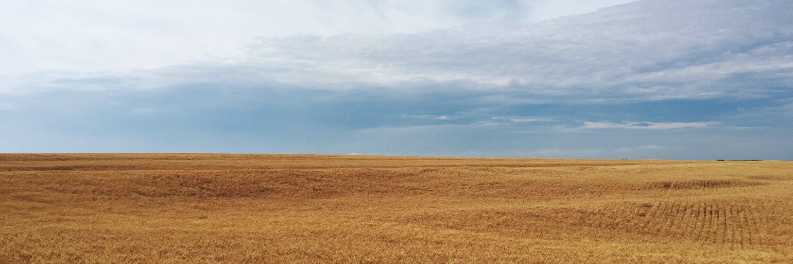 audreyedoane's profile banner image