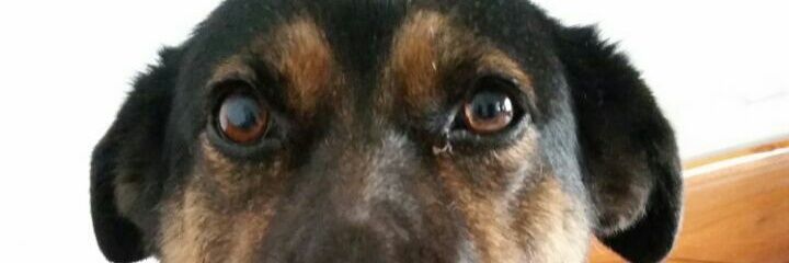 JacqueRoger's profile banner image