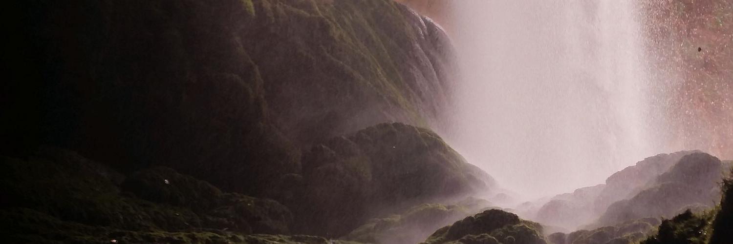 vecthorpicks's profile banner image