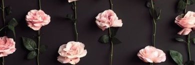 SolangeeMB's profile banner image