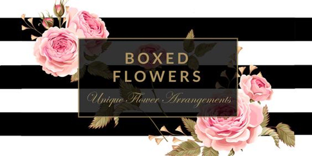 BoxedFlowers's profile banner image