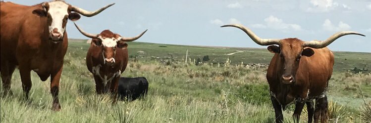 CoopGriffith's profile banner image