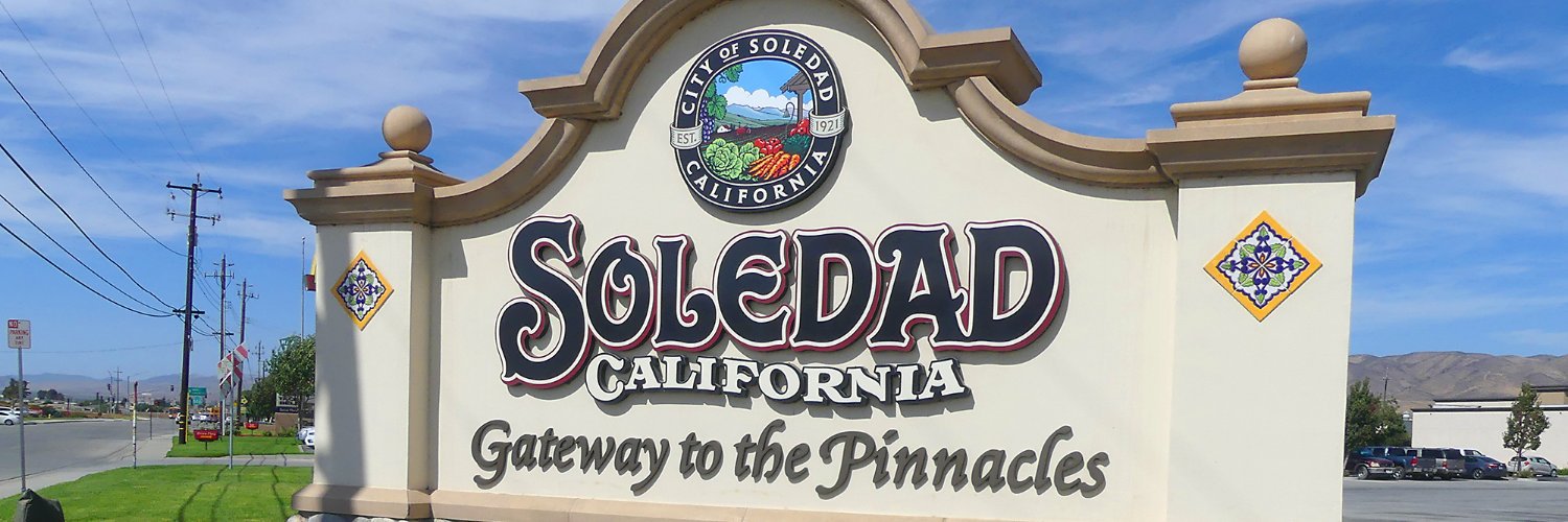 Soledad_Bee's profile banner image