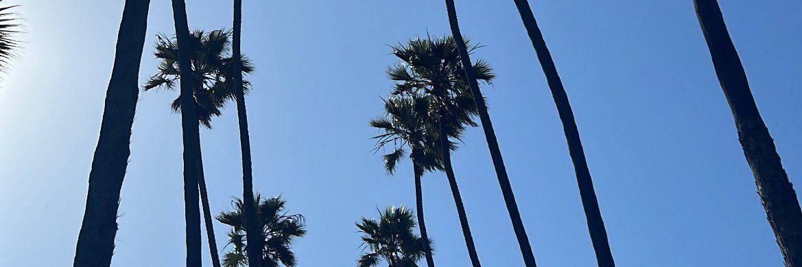 Chlopatrol banner