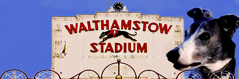 Warpdog (also on Bluesky) banner